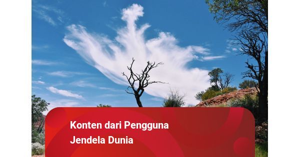 Warung Qyu Sunshiny: Santapan Hangat di Jantung Cilacap
